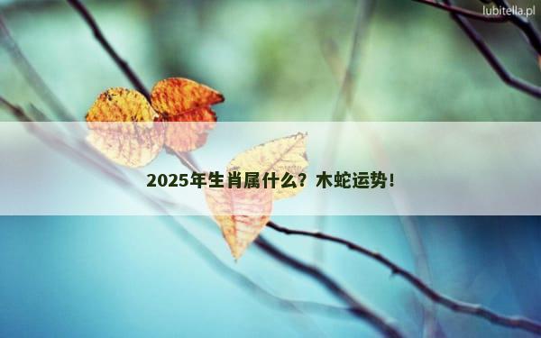 2025年生肖属什么？木蛇运势！