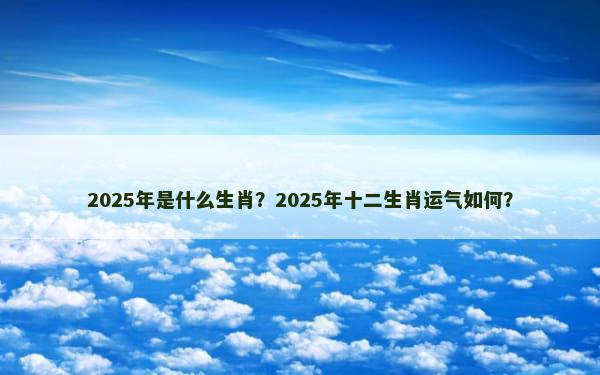 2025年是什么生肖？2025年十二生肖运气如何？