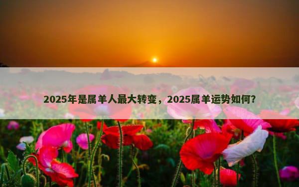 2025年是属羊人最大转变，2025属羊运势如何？