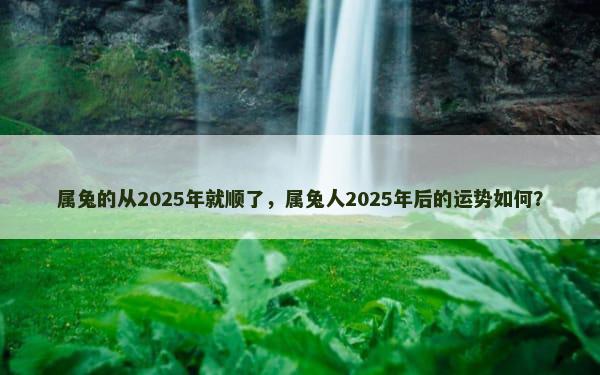 属兔的从2025年就顺了，属兔人2025年后的运势如何？