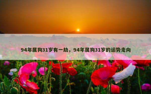 94年属狗31岁有一劫，94年属狗31岁的运势走向