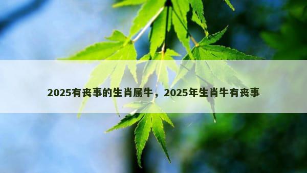 2025有丧事的生肖属牛，2025年生肖牛有丧事