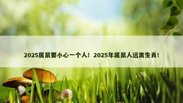 2025属鼠要小心一个人！2025年属鼠人远离生肖！