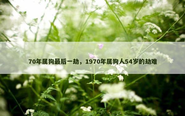 70年属狗最后一劫，1970年属狗人54岁的劫难