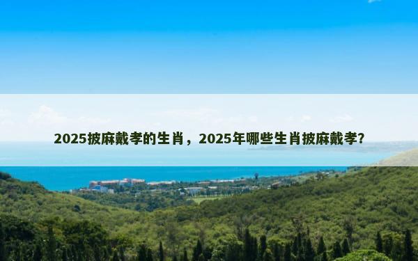 2025披麻戴孝的生肖，2025年哪些生肖披麻戴孝？