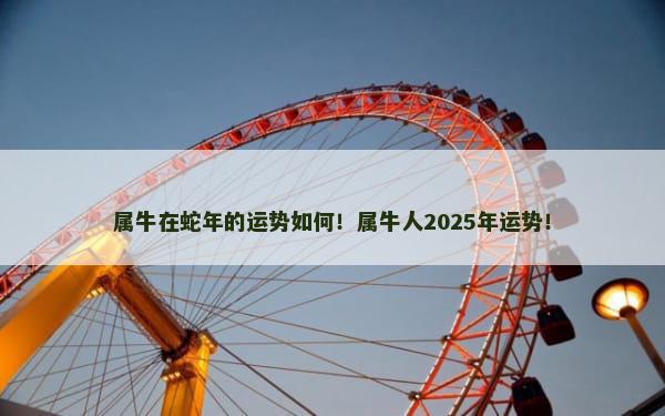 属牛在蛇年的运势如何！属牛人2025年运势！