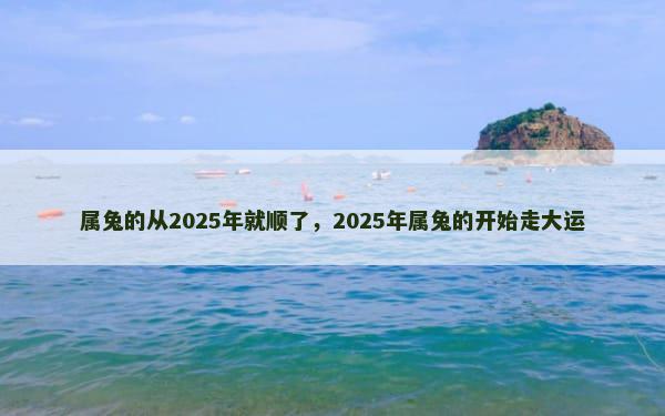 属兔的从2025年就顺了，2025年属兔的开始走大运