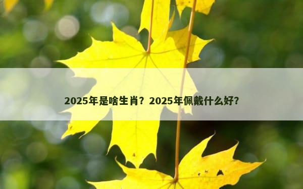 2025年是啥生肖？2025年佩戴什么好？