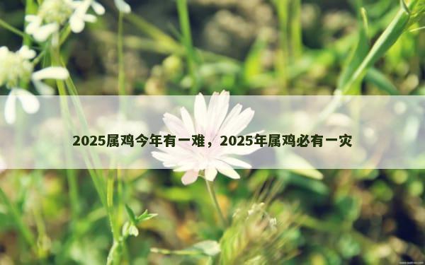 2025属鸡今年有一难，2025年属鸡必有一灾