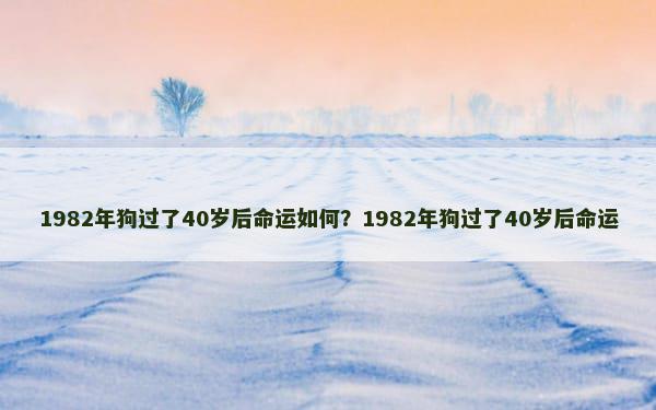 1982年狗过了40岁后命运如何？1982年狗过了40岁后命运