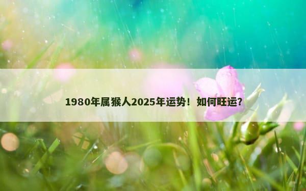 1980年属猴人2025年运势！如何旺运？