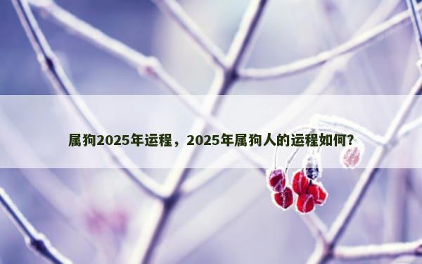 属狗2025年运程，2025年属狗人的运程如何？