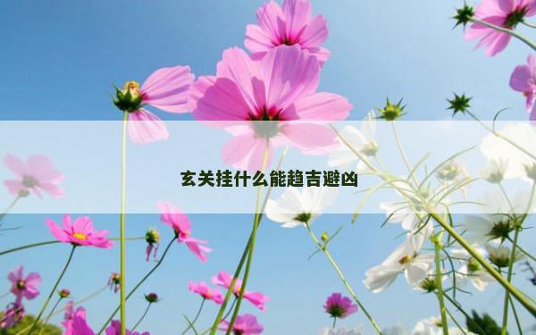 玄关挂什么能趋吉避凶