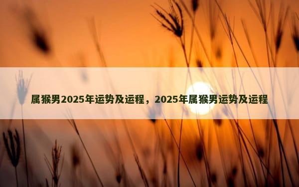 属猴男2025年运势及运程，2025年属猴男运势及运程