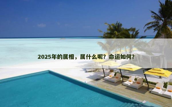 2025年的属相，属什么呢？命运如何？