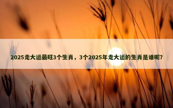 2025走大运最旺3个生肖，3个2025年走大运的生肖是谁呢？