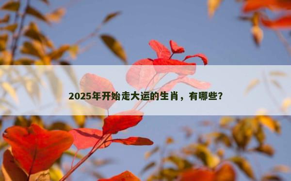 2025年开始走大运的生肖，有哪些？