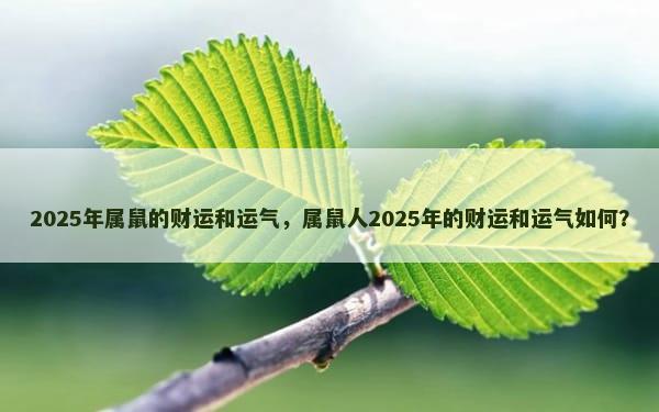 2025年属鼠的财运和运气，属鼠人2025年的财运和运气如何？