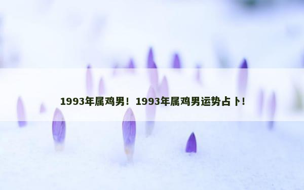 1993年属鸡男！1993年属鸡男运势占卜！