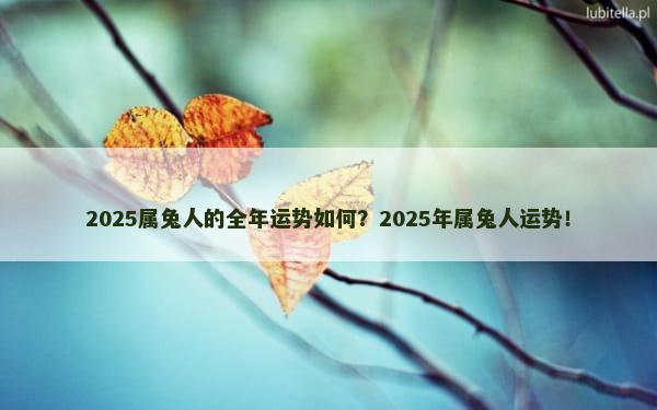 2025属兔人的全年运势如何？2025年属兔人运势！