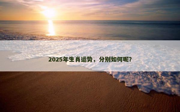 2025年生肖运势，分别如何呢？