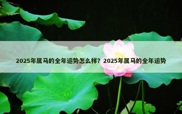 2025年属马的全年运势怎么样？2025年属马的全年运势