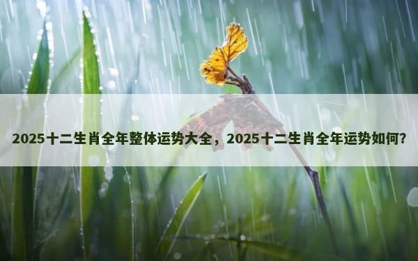 2025十二生肖全年整体运势大全，2025十二生肖全年运势如何？