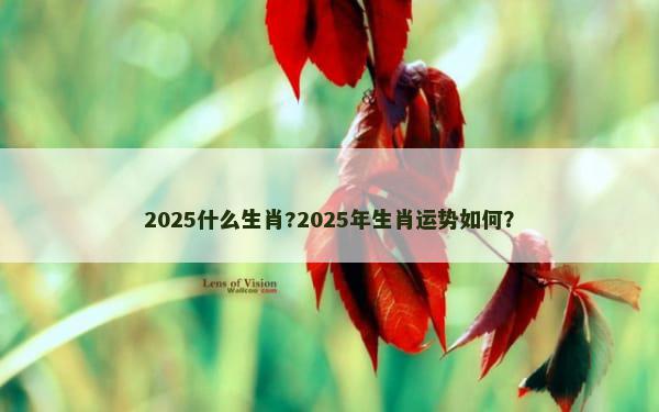 2025什么生肖?2025年生肖运势如何？