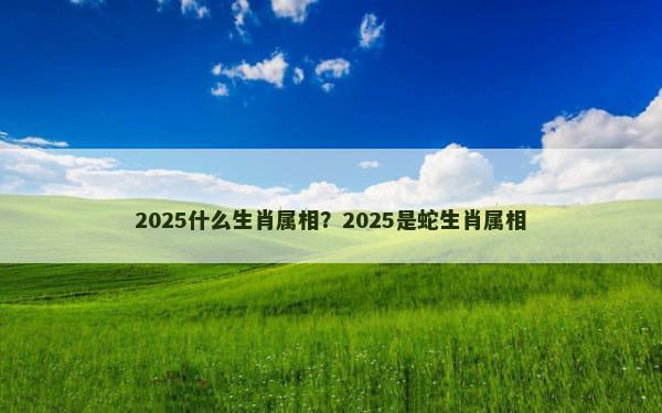 2025什么生肖属相？2025是蛇生肖属相