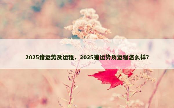 2025猪运势及运程，2025猪运势及运程怎么样？