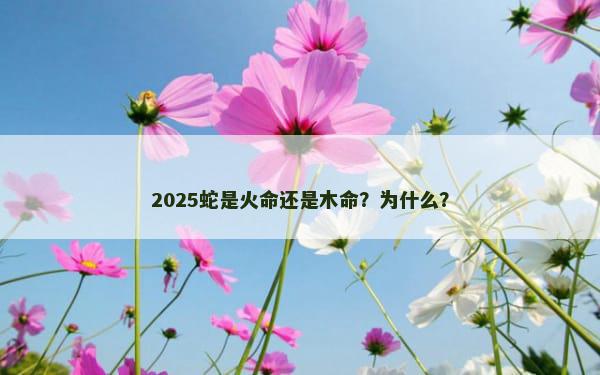 2025蛇是火命还是木命？为什么？