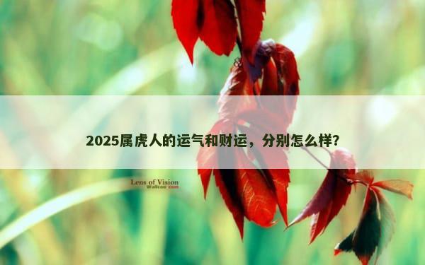 2025属虎人的运气和财运，分别怎么样？