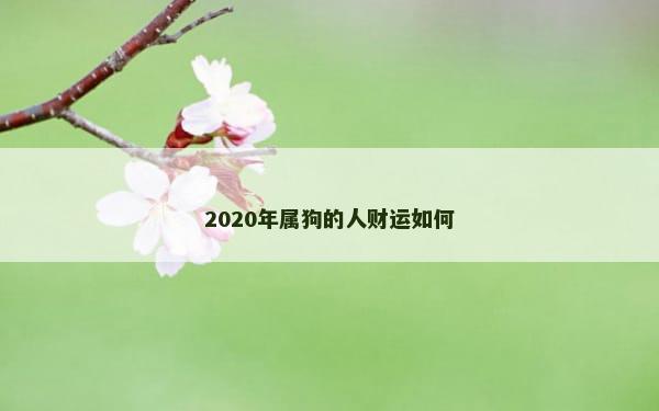 2020年属狗的人财运如何