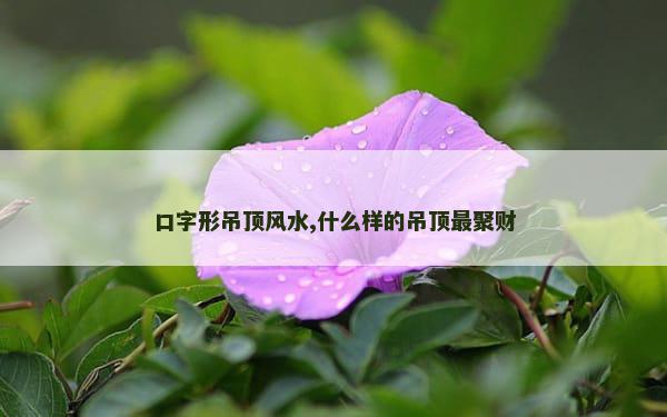 口字形吊顶风水,什么样的吊顶最聚财