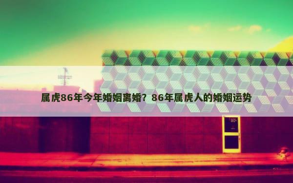 属虎86年今年婚姻离婚？86年属虎人的婚姻运势