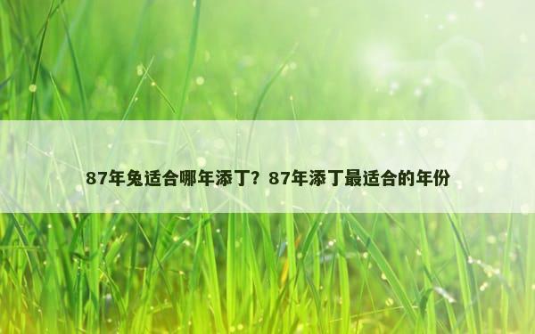 87年兔适合哪年添丁？87年添丁最适合的年份