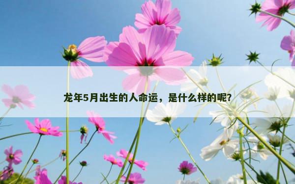 龙年5月出生的人命运，是什么样的呢？