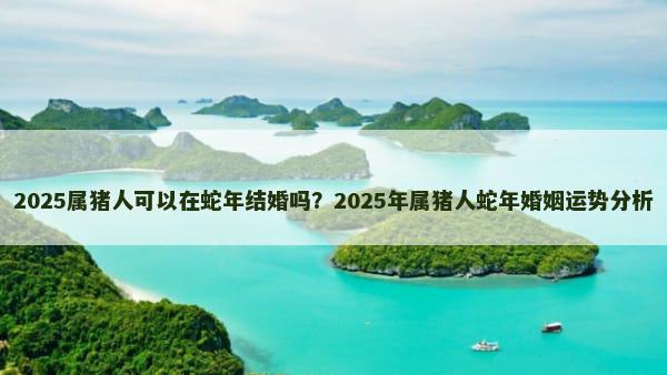 2025属猪人可以在蛇年结婚吗？2025年属猪人蛇年婚姻运势分析