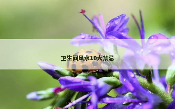 卫生间风水10大禁忌