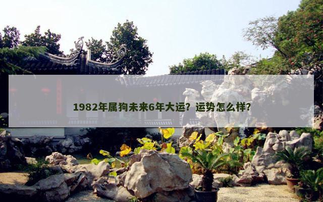 1982年属狗未来6年大运？运势怎么样？