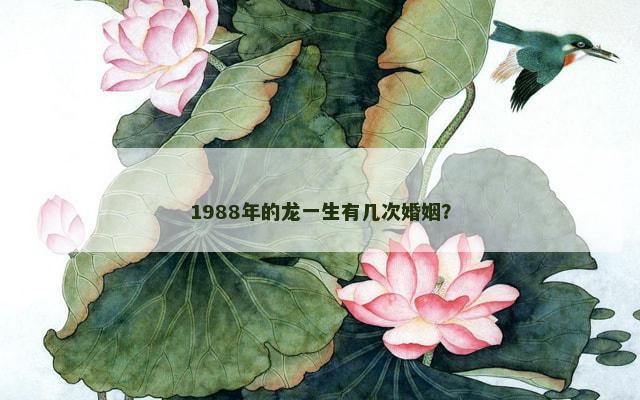 1988年的龙一生有几次婚姻？