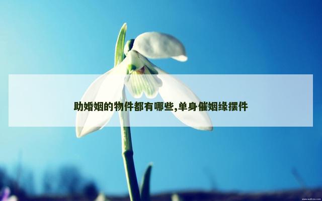 助婚姻的物件都有哪些,单身催姻缘摆件