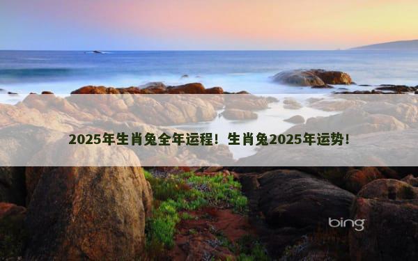 2025年生肖兔全年运程！生肖兔2025年运势！