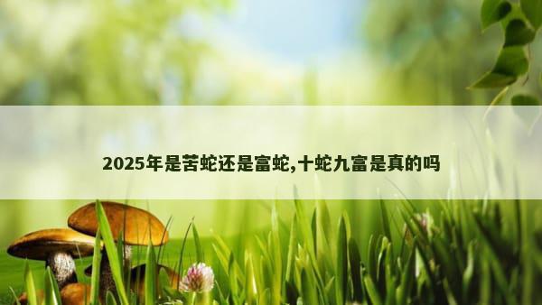 2025年是苦蛇还是富蛇,十蛇九富是真的吗