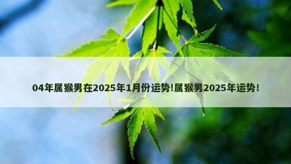 04年属猴男在2025年1月份运势!属猴男2025年运势！