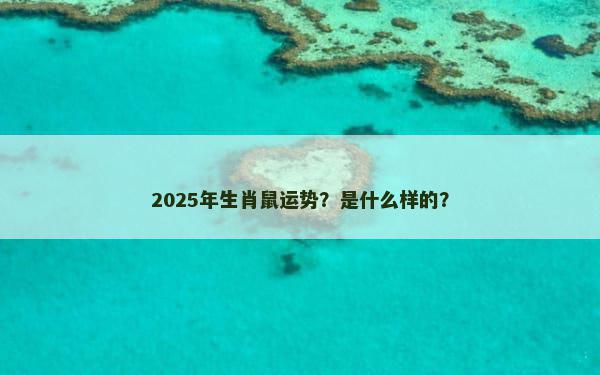 2025年生肖鼠运势？是什么样的？