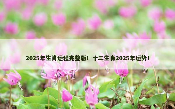 2025年生肖运程完整版！十二生肖2025年运势！