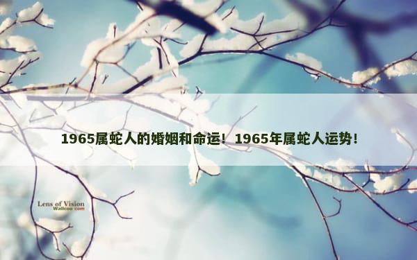 1965属蛇人的婚姻和命运！1965年属蛇人运势！