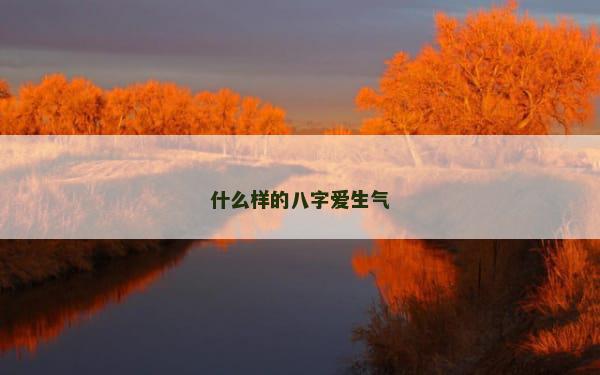 什么样的八字爱生气