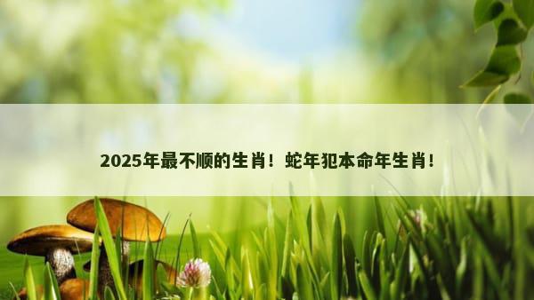 2025年最不顺的生肖！蛇年犯本命年生肖！